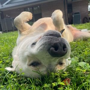 Meet your Posher, Sammi